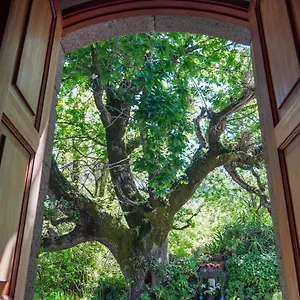 https://viviendas-el-alto.in-canary-islands.com